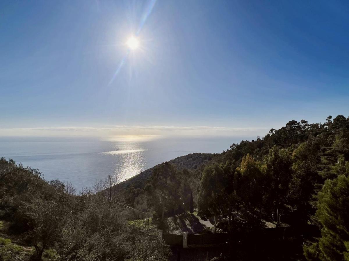 Magnifique 3 Pieces Vue Mer - Eze Leilighet Eksteriør bilde